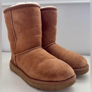 ugg classic short II